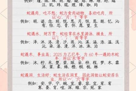 生肖蛇孩子的命运究竟如何，深度解析与养育之道！