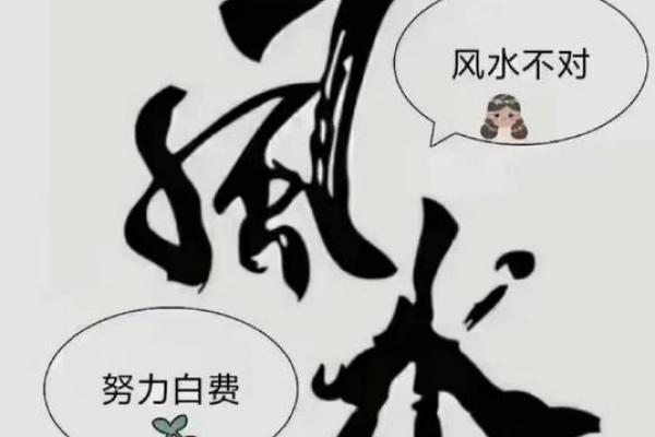 水命人如何通过图案提升自身运势