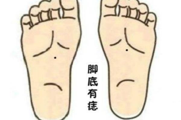 平脚心的人命运解析：性格与生活的指引