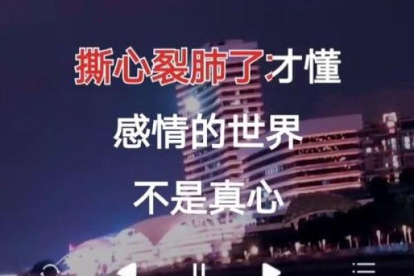 《当爱成为生命的意义：探讨《视你如命拿命爱你》的音乐魅力》