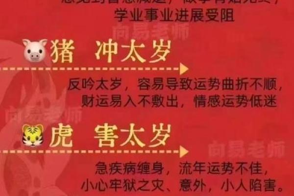 82岁生肖是什么命，让我们一起探索人生的智慧与哲学