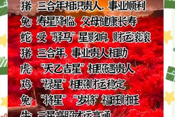 生肖薄命：命运磨难与幸运的对比分析