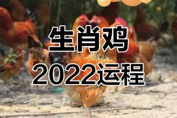 属鸡最旺出生时辰解析:你属于什么命?解密命理玄机! 属鸡最旺出生时辰解析:你属于什么命?解密命理玄机!
