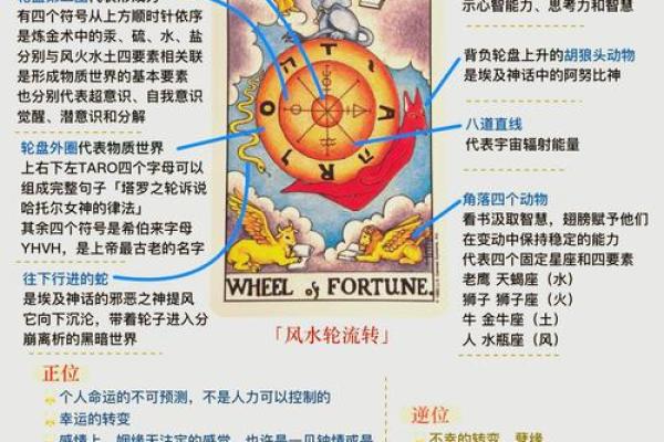直播间算命:揭示你命运的秘密与未来的方向 直播间算命:揭示你命运的秘密与未来的方向
