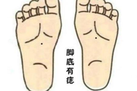 平脚心的人命运解析：性格与生活的指引