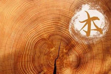 松柏木与传统命理的结合，探寻人生的意义与方向