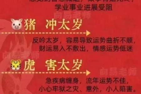 82岁生肖是什么命，让我们一起探索人生的智慧与哲学