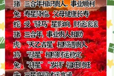 生肖薄命：命运磨难与幸运的对比分析