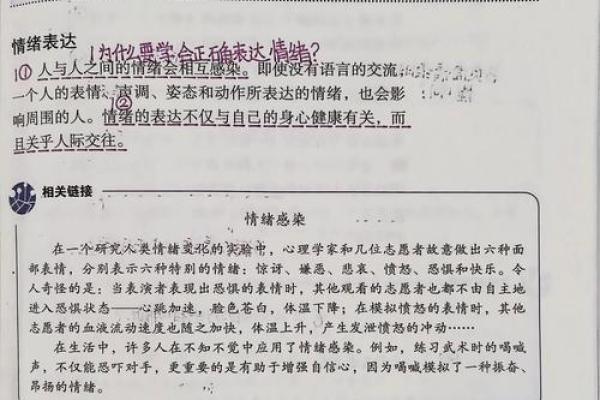 96年属于什么命人：揭开命运的神秘面纱与生活的智慧