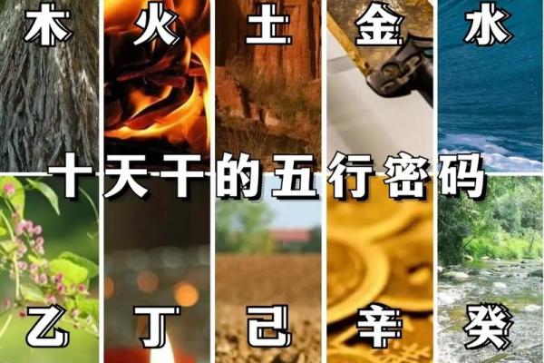 1959年五行命理解析：揭开你的命运密码！