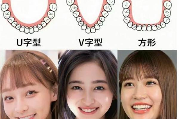 女人的30个牙：揭示微笑背后的命运与性格