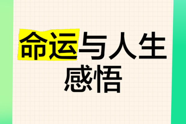 人要逆天改命吗？探讨命运与努力的关系