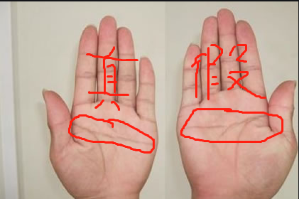男子双手断掌之命运解析：隐藏在手相中的人生轨迹