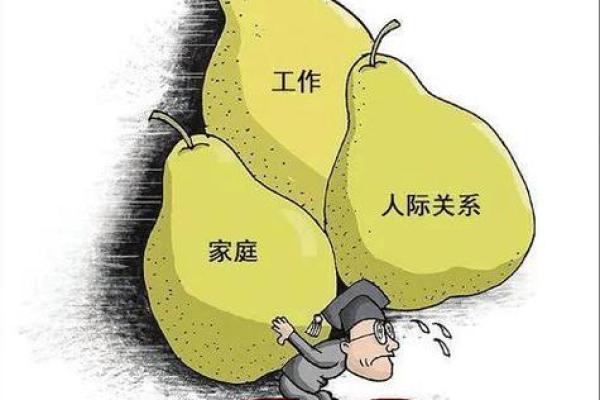 50年生命的命格探秘：启示与自省的旅程