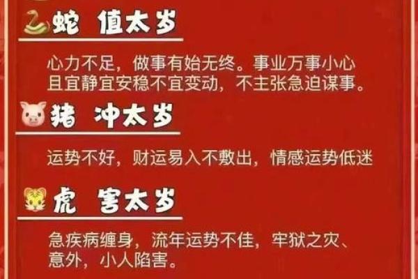 女命四柱无官真命：揭示命理中的独特魅力与人生哲学