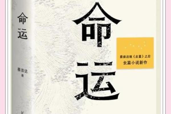 81年木鸡命：穿越时空的命运与智慧