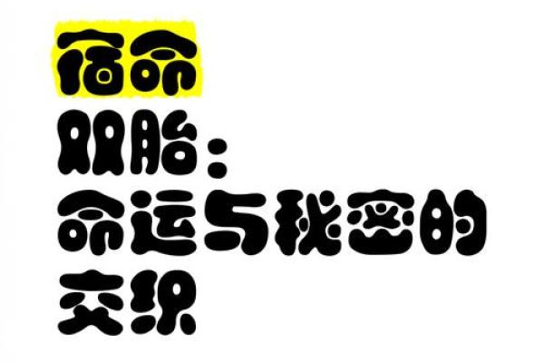 探寻命缘的奥秘：生活中的机缘与宿命交织