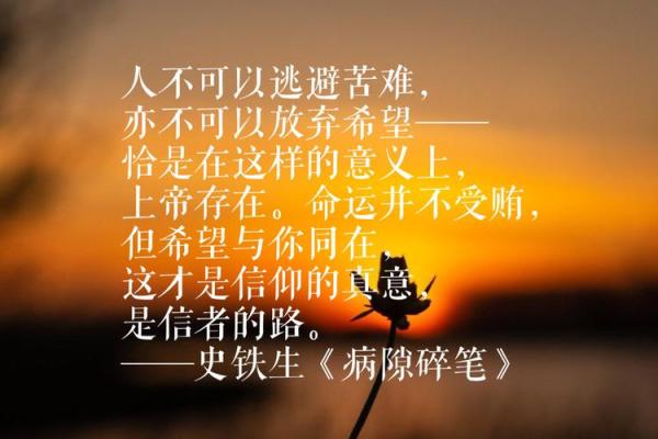 如何测试自己命运的契机与方法，揭示生命潜力