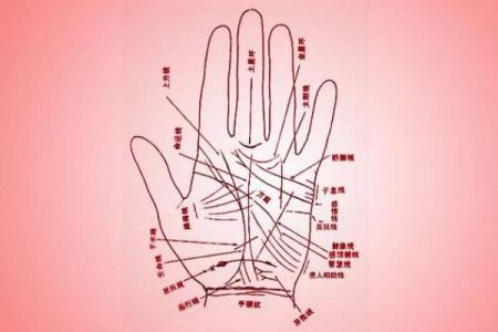 算命文化中的手相解析：什么命好，如何解读？