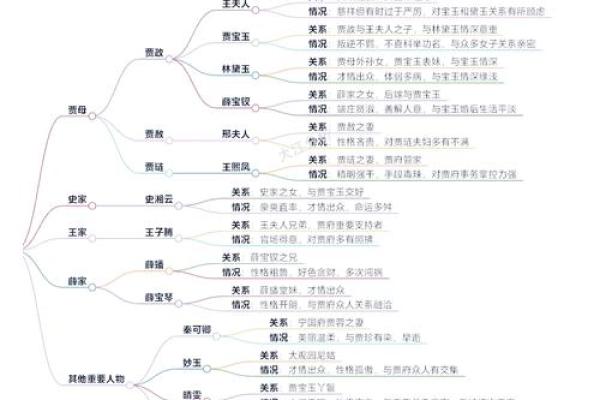 香菱四命与六命的区别深度解析，揭示她的命运与角色发展