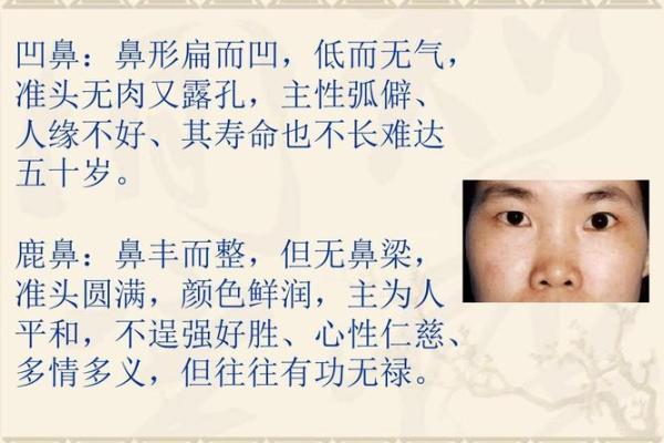 探秘面相学：扁鼻准头的人生轨迹与性格分析