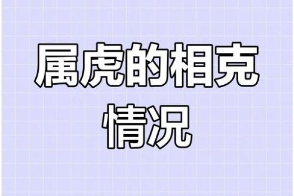 1962年属虎的人，属于什么命格与性格特征解析