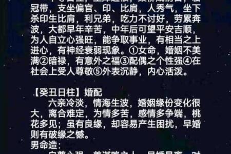 乙亥年出生的人命运与婚姻：探究命理背后的深意与情感之路