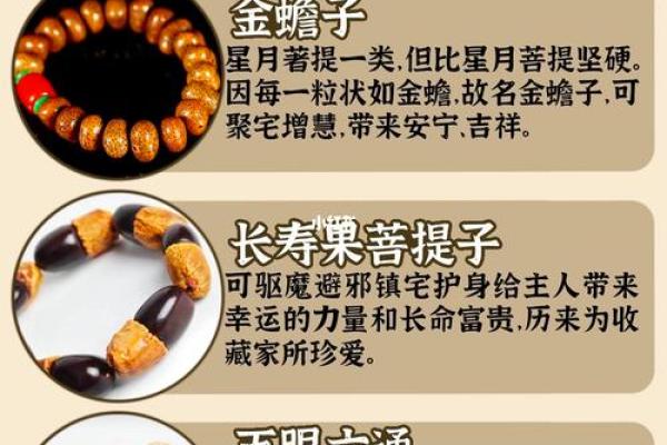 沙中土命与文玩搭配的智慧：品味人生的独特魅力