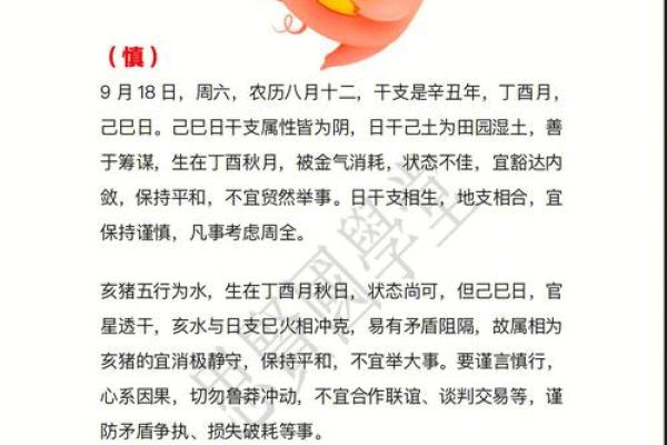 2007年属猪运势分析：理解命理与生活的秘密