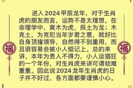 2022年属虎，阳光与勇气的象征：解读岁月背后的命运与希望