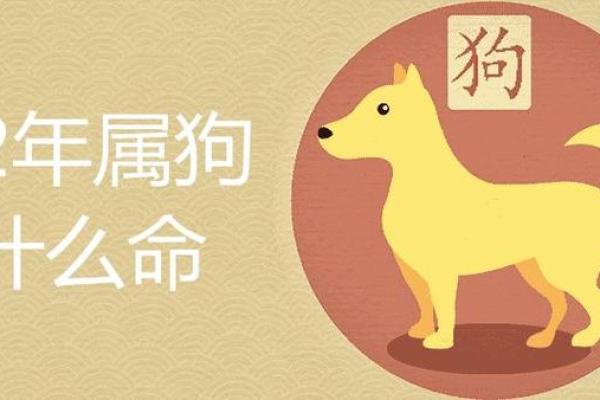 属狗人46年命理解析：忠诚与责任并存的命运之旅