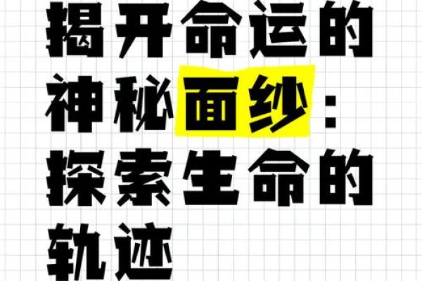 算命与神仙命：揭开命运的神秘面纱