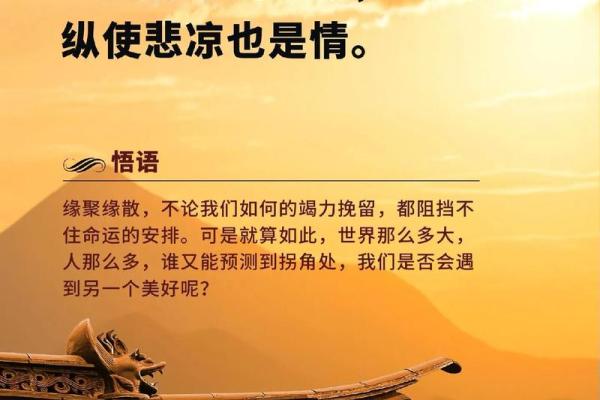 只有25颗牙,共赴人生的旅程:牙齿与命运的奇妙关系 只有25颗牙,共赴人生的旅程:牙齿与命运的奇妙关系