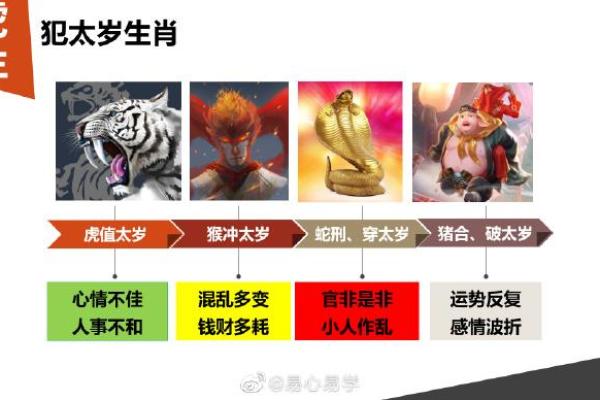 2022年是虎年,揭秘虎年的命理特点与运势分析! 2022年是虎年,揭秘虎年的命理特点与运势分析!