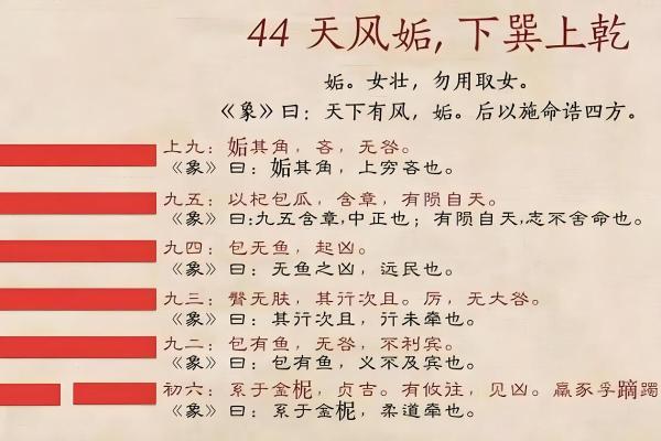 《易经智慧：天上火命的补救之道》