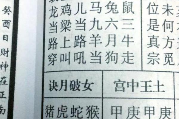 鼠年男孩的命运与人生：揭秘性格与运势的奥秘