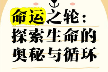 1947年出生的命运：探索人生之旅与幸福之道
