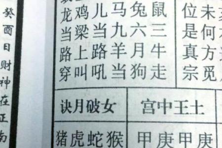 鼠年男孩的命运与人生：揭秘性格与运势的奥秘