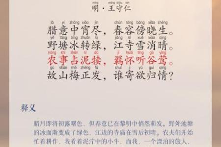 人生到立春日，四季更替何所望？