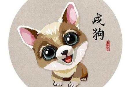 50岁以上属狗人的命运解析：智慧与幸福的交织