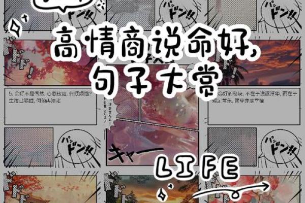 “命由我定，何需他人？”——解读“命就是命”梗背后的深意