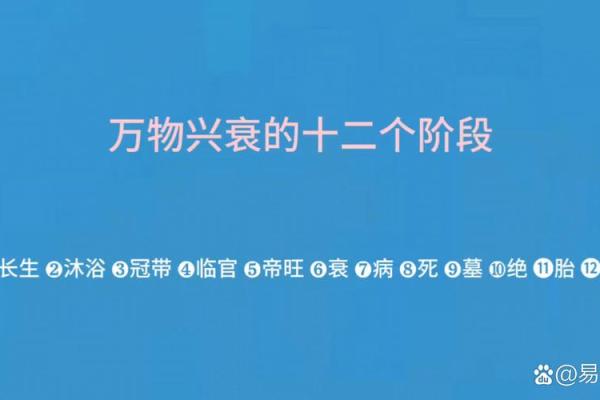 命运的轮回：揭秘被杀背后的命理现象与人生启示