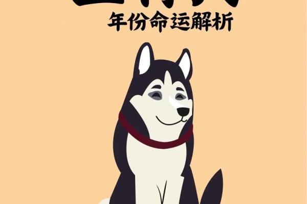 49岁属狗者的命运分析:探索人生的选择与机遇 49岁属狗者的命运分析:探索人生的选择与机遇