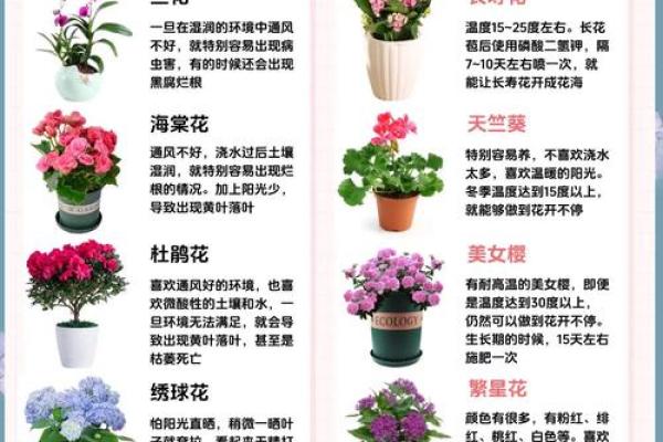 什么花都养活的人是什么命:花语人生的秘密探讨 什么花都养活的人是什么命:花语人生的秘密探讨