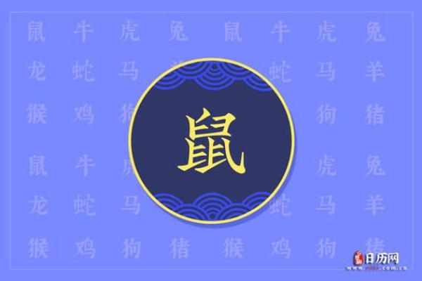 属鼠1996年出生者的命运:为你揭示命理的奥秘与生活智慧 属鼠1996年出生者的命运:为你揭示命理的奥秘与生活智慧