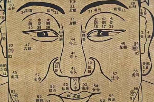 身上的痣与命运的秘密:你身体上的这些痣,揭示了你的人生轨迹! 身上的痣与命运的秘密:你身体上的这些痣,揭示了你的人生轨迹!