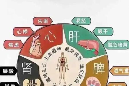 三十六种命格解析：揭示命运的秘密与人生的选择