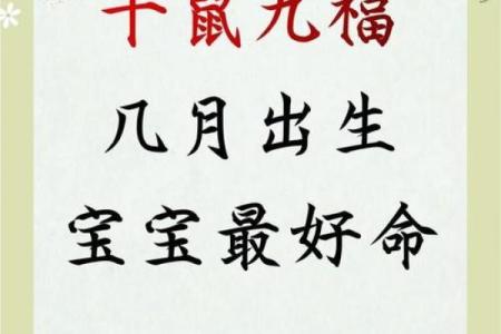 1960年鼠命：寻找生命之中的缺失与补充