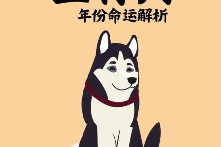49岁属狗者的命运分析：探索人生的选择与机遇