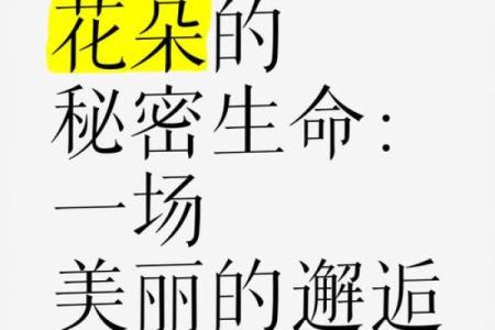 什么花都养活的人是什么命：花语人生的秘密探讨